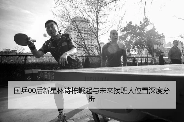 国乒00后新星林诗栋崛起与未来接班人位置深度分析